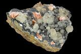 Cerussite Crystals with Bladed Barite on Galena - Morocco #128012-2